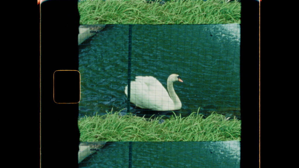 Pomme_Radnor_Wedding